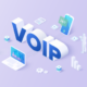 Stars of the show: Cloud and VOIP